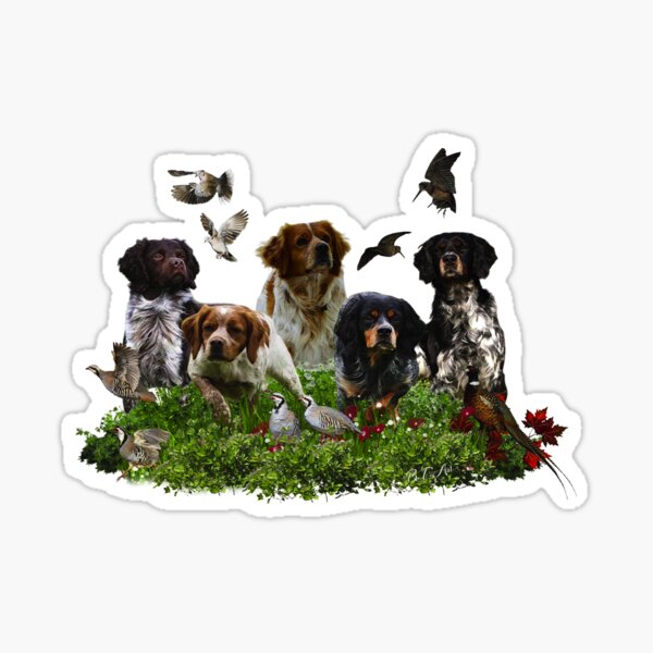 Brittany Spaniels, Bird Hunting Sticker