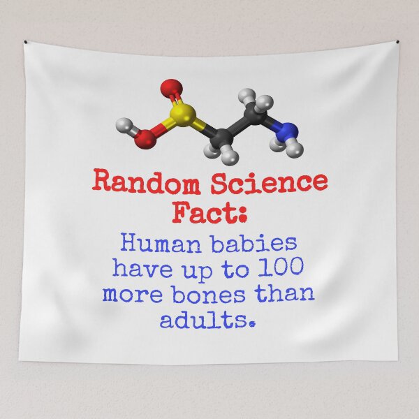 Item preview, Human Babies Have Up To 100 More bones - Science Fact designed and sold by CrankyOldDude.