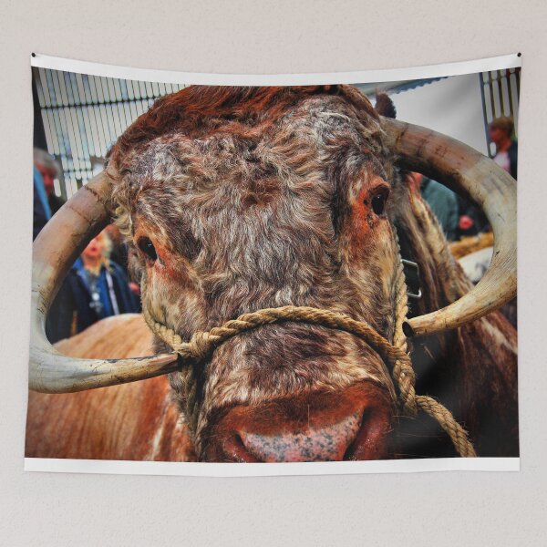 Item preview, English Long Horn Cow Cattle designed and sold by AndyEvansPhotos.