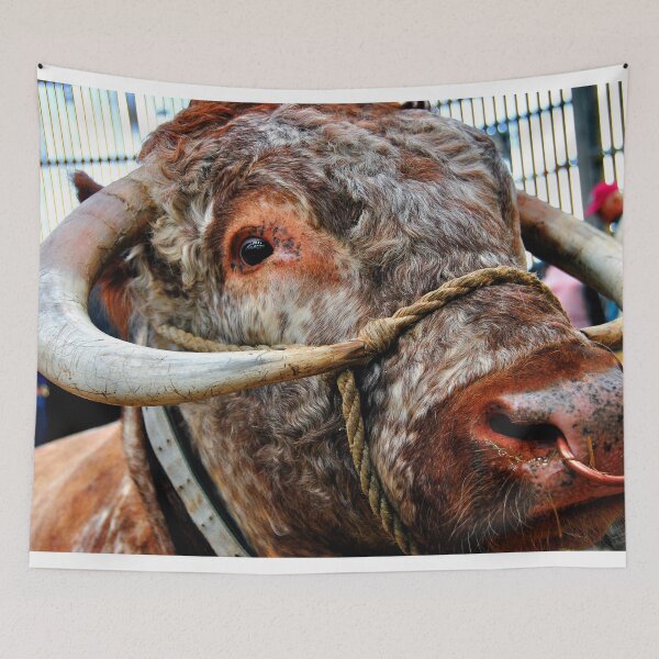 Item preview, English Long Horn Cow Cattle designed and sold by AndyEvansPhotos.