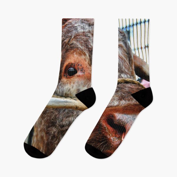 Item preview, English Long Horn Cow Cattle designed and sold by AndyEvansPhotos.