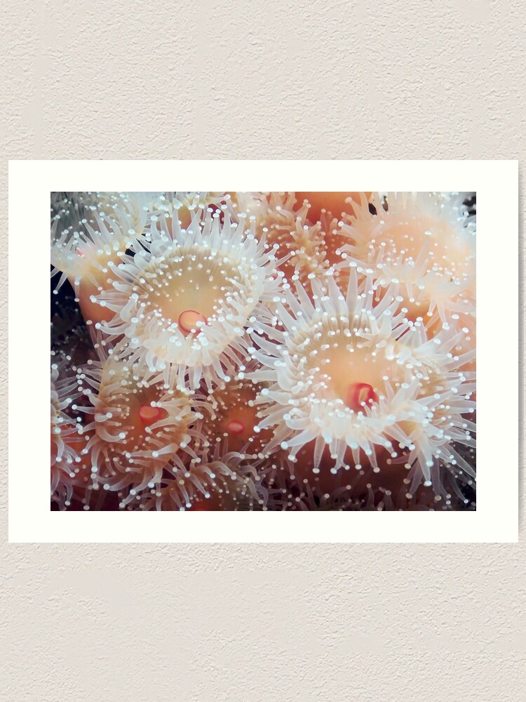 Thumbnail 1 of 3, Art Print, Orange Squish designed and sold by DaogreerEarth.