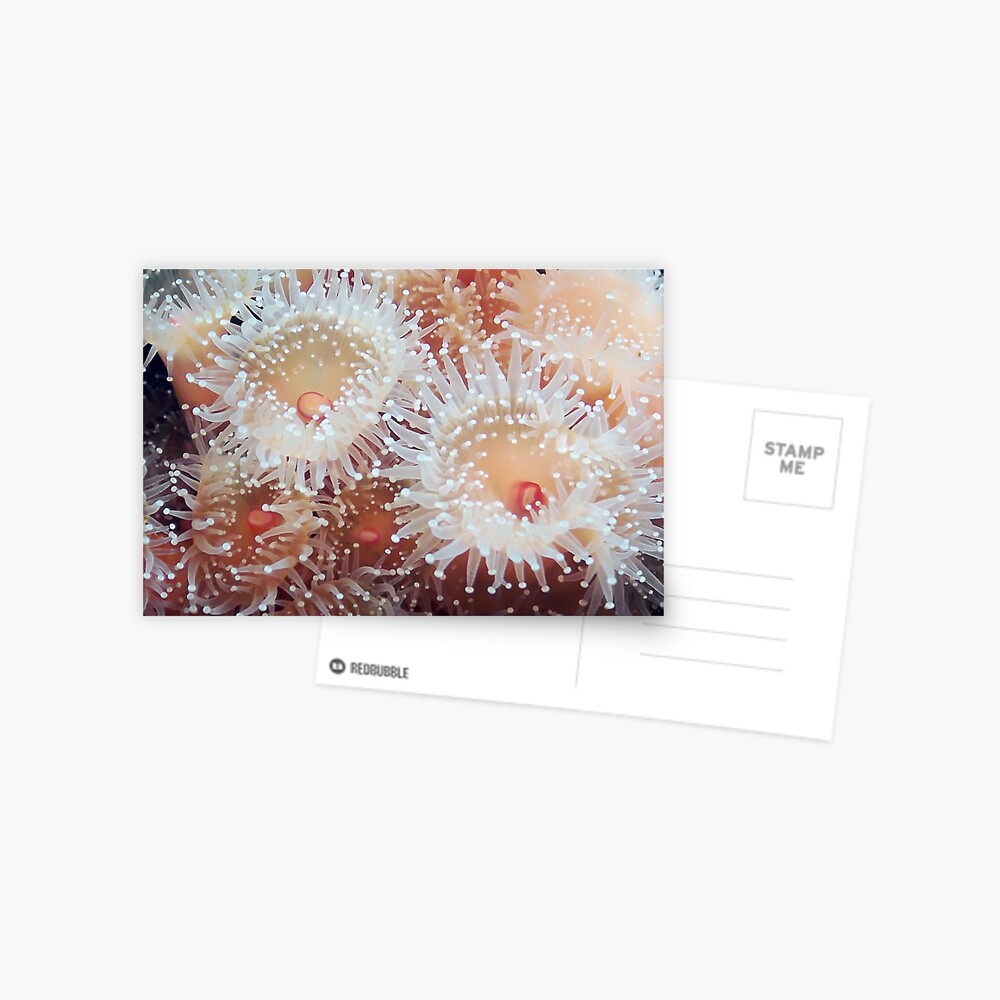 Item preview, Postcard designed and sold by DaogreerEarth.