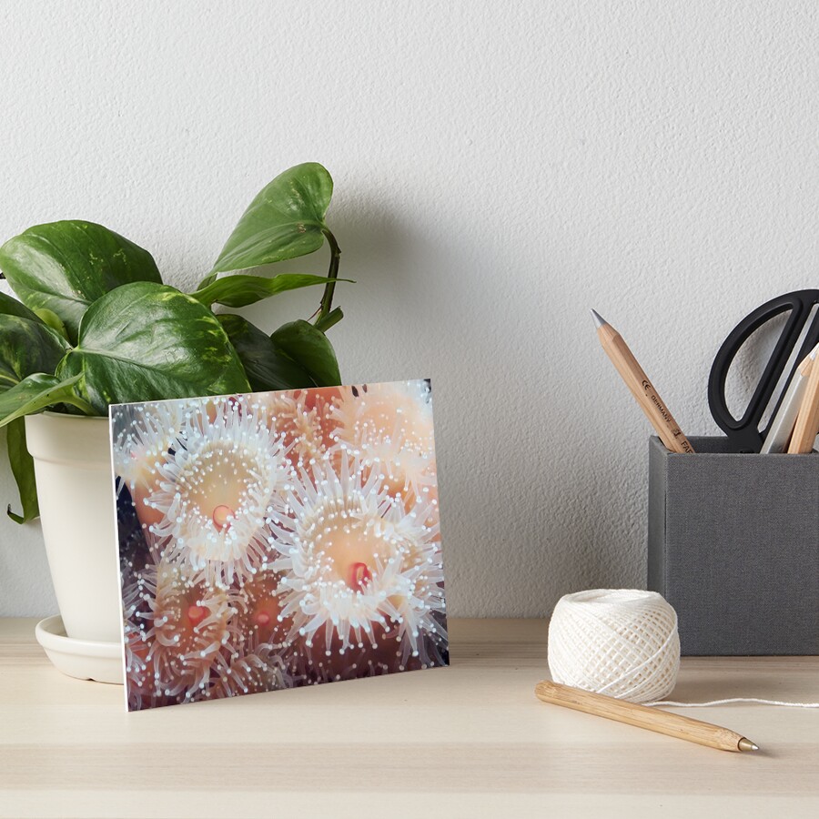 Item preview, Art Board Print designed and sold by DaogreerEarth.