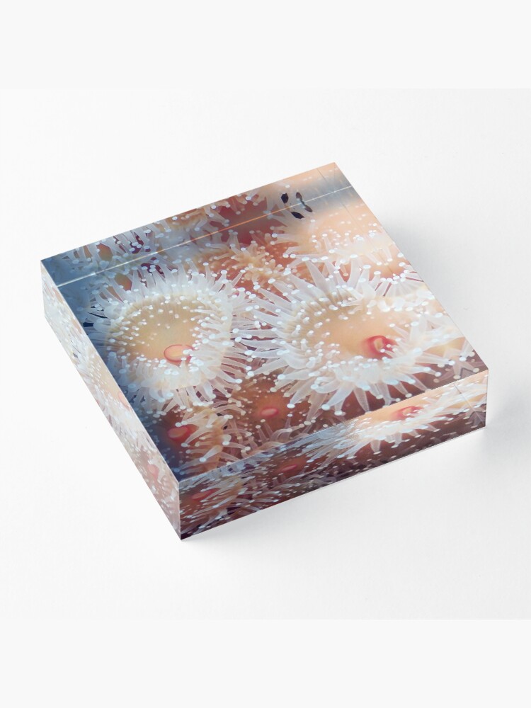Thumbnail 3 of 5, Acrylic Block, Orange Squish designed and sold by DaogreerEarth.