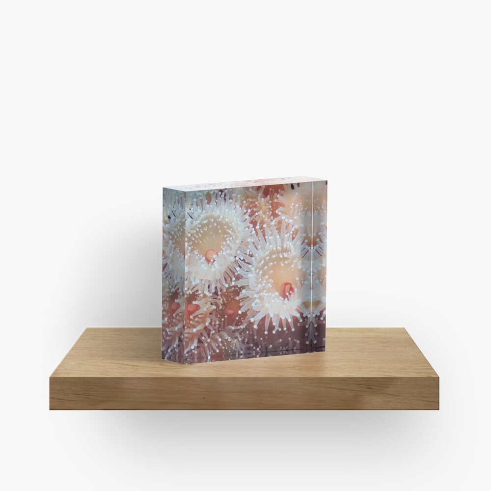 Item preview, Acrylic Block designed and sold by DaogreerEarth.