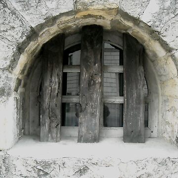 Artwork thumbnail, Window to the Past by Michelle Hitt
