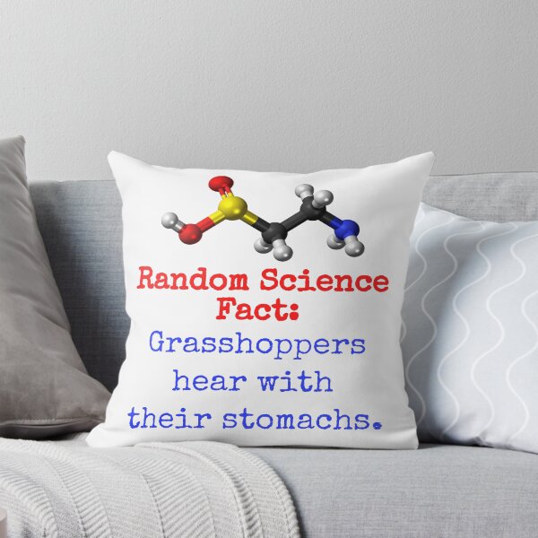 Item preview, Grasshoppers Hear With Their Stomachs - Science Fact designed and sold by CrankyOldDude.