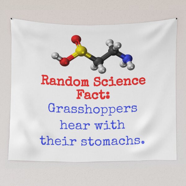 Item preview, Grasshoppers Hear With Their Stomachs - Science Fact designed and sold by CrankyOldDude.