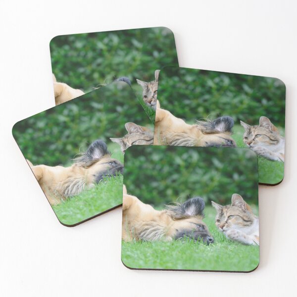 Item preview, Friendship between dog and cat designed and sold by Schubbels-Tiere.