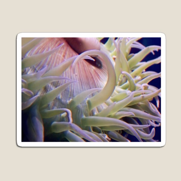 Item preview, Sea Sprouts designed and sold by Daogreer Earth Works.