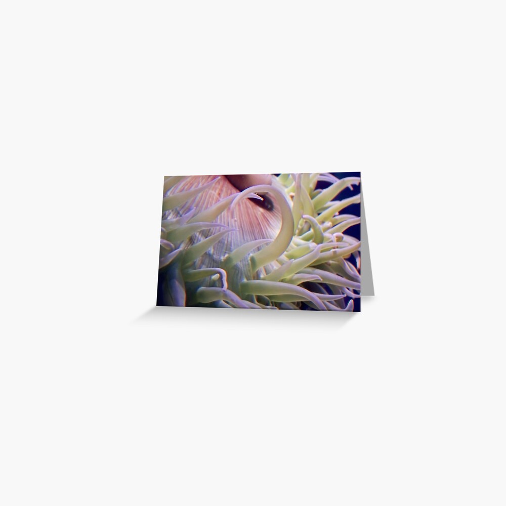 Item preview, Greeting Card designed and sold by DaogreerEarth.