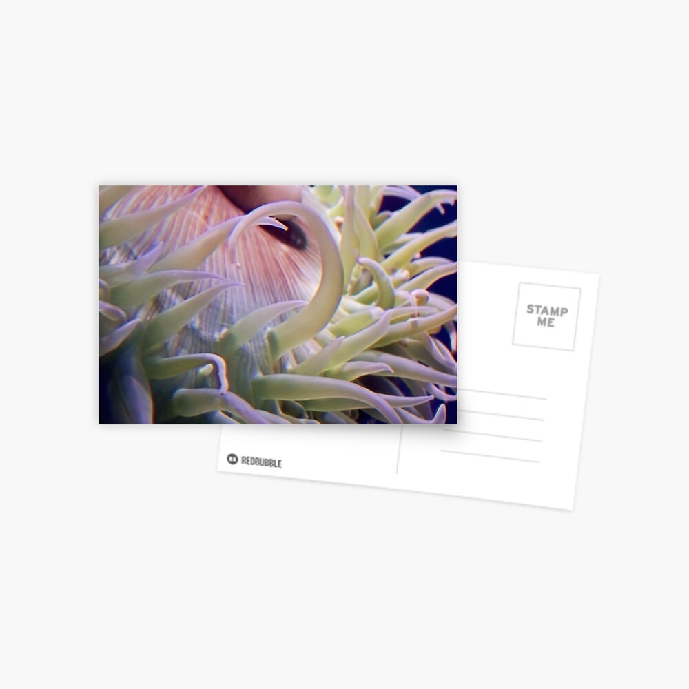 Item preview, Postcard designed and sold by DaogreerEarth.