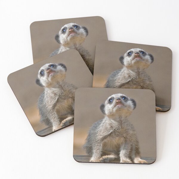 Item preview, Kute Kat designed and sold by Krys Bailey.
