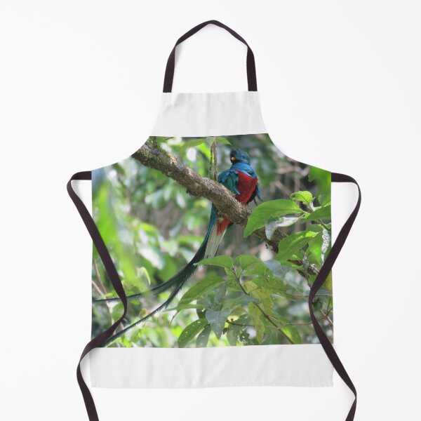 Item preview, Male Quetzal in Tree designed and sold by julyperson.