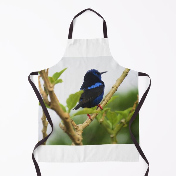 Item preview, Red Legged Honeycreeper designed and sold by julyperson.