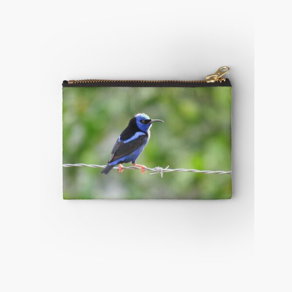 Item preview, Red Legged Honeycreeper in Sunlight designed and sold by julyperson.
