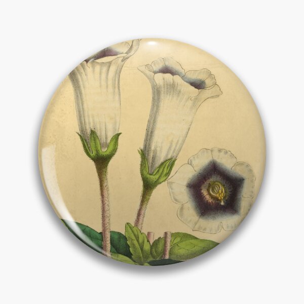Item preview, Gloxinia Fytiana With Details designed and sold by ptMaker.