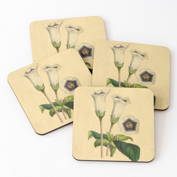 Item preview, Gloxinia Fytiana With Details designed and sold by ptMaker.