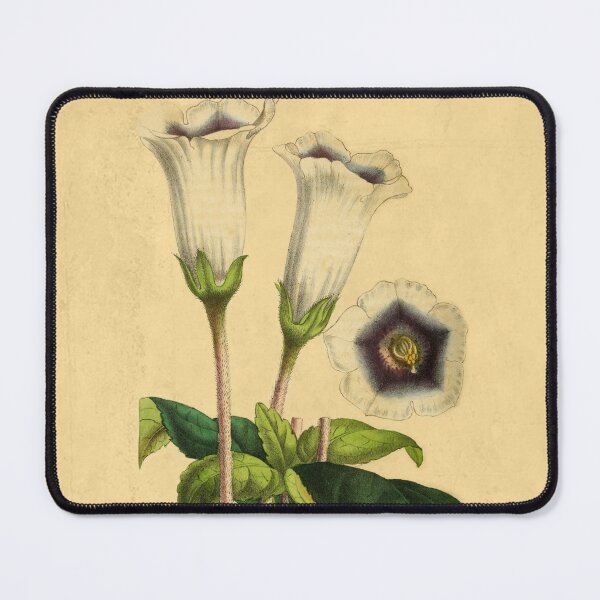 Item preview, Gloxinia Fytiana With Details designed and sold by ptMaker.