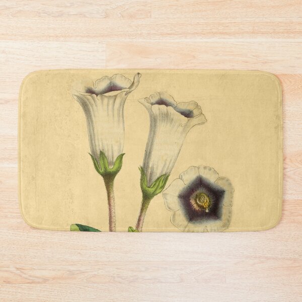 Item preview, Gloxinia Fytiana With Details designed and sold by ptMaker.