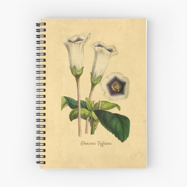 Item preview, Gloxinia Fytiana With Details designed and sold by ptMaker.