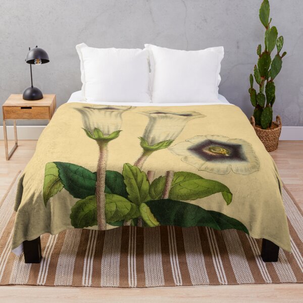 Item preview, Gloxinia Fytiana With Details designed and sold by ptMaker.