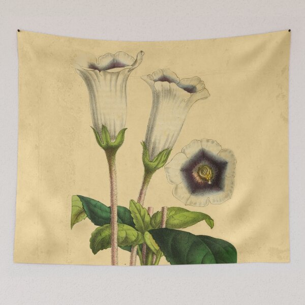 Item preview, Gloxinia Fytiana With Details designed and sold by ptMaker.