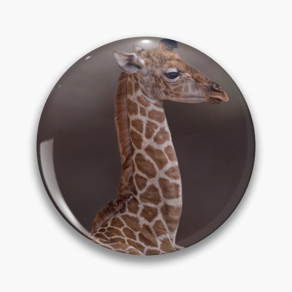 Item preview, Baby Giraffe iPad Case designed and sold by Krys Bailey.