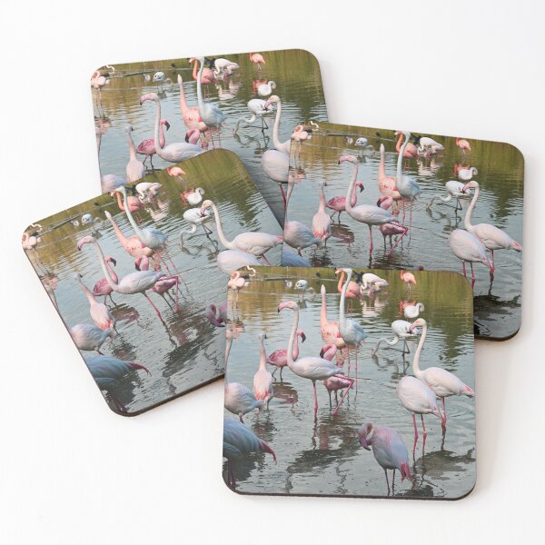 Item preview, Group of Flamingos designed and sold by Kate-P-.