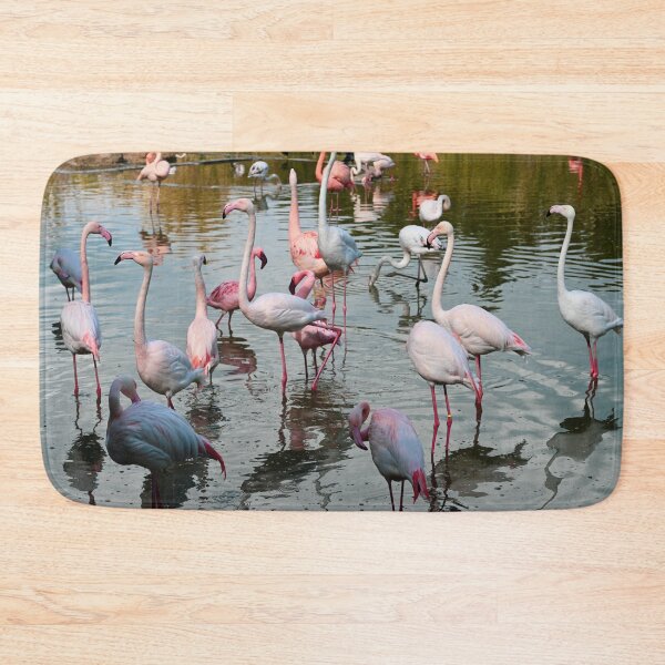 Item preview, Group of Flamingos designed and sold by Kate-P-.