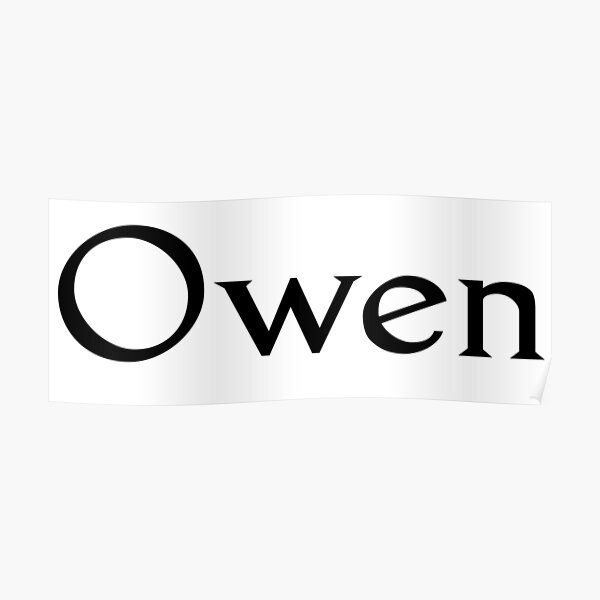 Owen Name Posters Redbubble