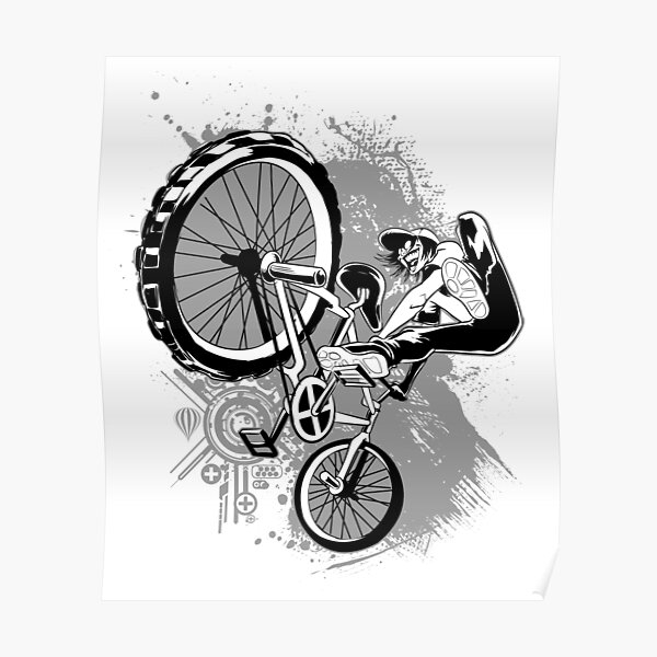 Bmx Freestyle Poster