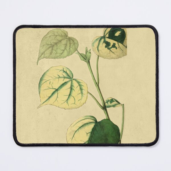 Item preview, Chlorotic Plants With Details designed and sold by ptMaker.