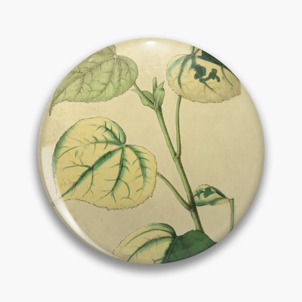 Item preview, Chlorotic Plants With Details designed and sold by ptMaker.