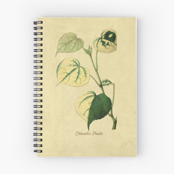 Item preview, Chlorotic Plants With Details designed and sold by ptMaker.