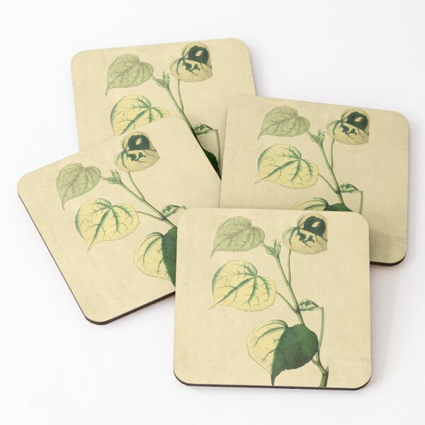 Item preview, Chlorotic Plants With Details designed and sold by ptMaker.