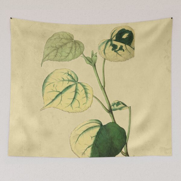 Item preview, Chlorotic Plants With Details designed and sold by ptMaker.