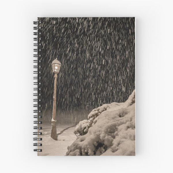 Artikelvorschau, Snowy Light Post entworfen und verkauft von Craig Kauzmann.