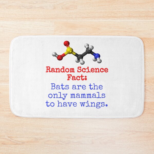 Item preview, Bats Are The Only Mammals - Science Fact designed and sold by CrankyOldDude.