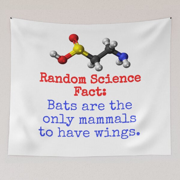 Item preview, Bats Are The Only Mammals - Science Fact designed and sold by CrankyOldDude.