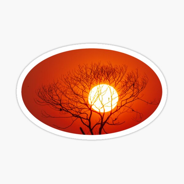 Item preview, Sunset, little birds and  tree without leaves designed and sold by kstanvir.