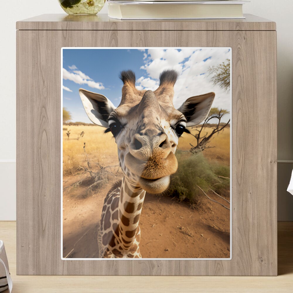 Insert d'album photo SecaDesign - Girafe - 100 photos 10x15