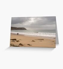 Solo Fun - Black Dog Strolling on Empty Winter Beach Greeting Card