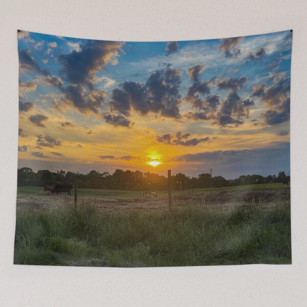 Aperçu de l'œuvre Sunset above the Cows créée et vendue par Craig Kauzmann.