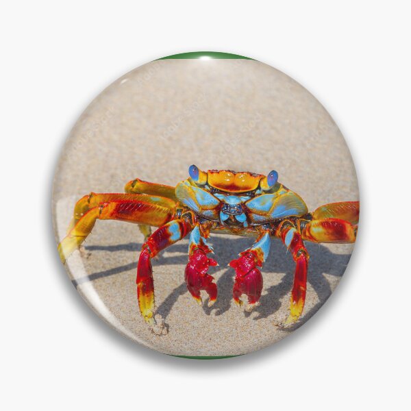 Item preview, beautiful crab designed and sold by Arthorn.