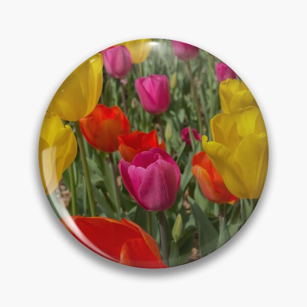Artikelvorschau, Variety of Colored Tulips entworfen und verkauft von Craig Kauzmann.
