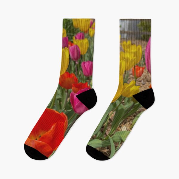 Item preview, Variety of Colored Tulips designed and sold by Craig Kauzmann.