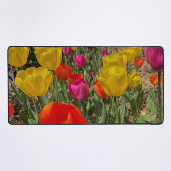 Item preview, Variety of Colored Tulips designed and sold by Craig Kauzmann.