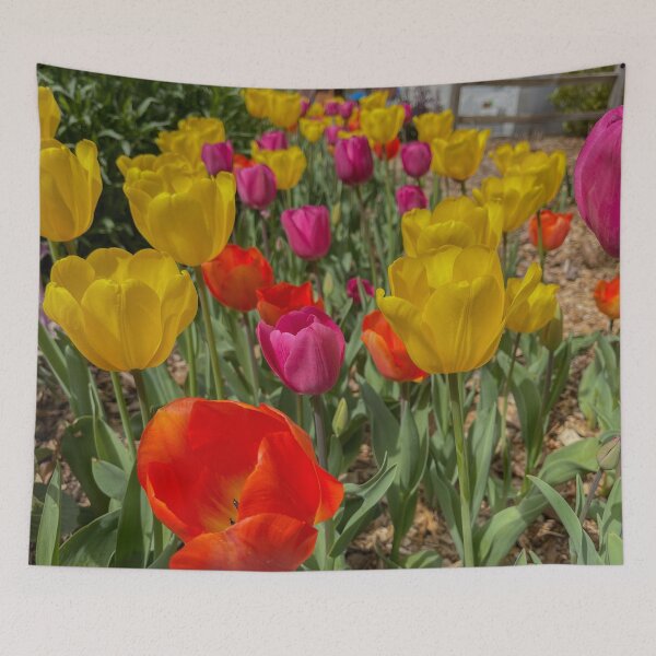Item preview, Variety of Colored Tulips designed and sold by Craig Kauzmann.